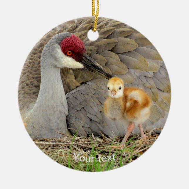 Sandhill crane bird with chick colt photography ceramic ornament (Front)