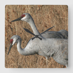 Sandhill Crane Birds Clock