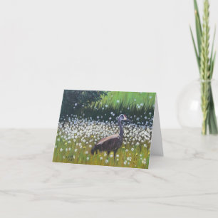 Sandhill Crane Card