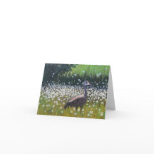 Sandhill Crane