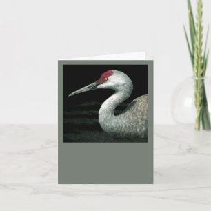 Sandhill Crane Card - "Grassland Grace"
