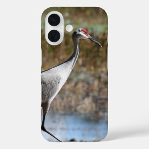 Sandhill Crane iPhone 16 Case