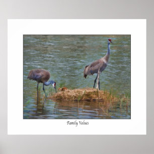 Sandhill Crane " Family Values"  Print