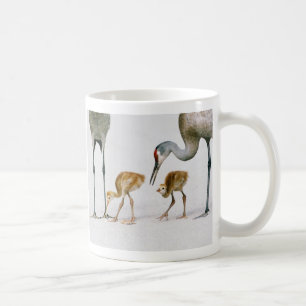Sandhill Crane Famiy mug