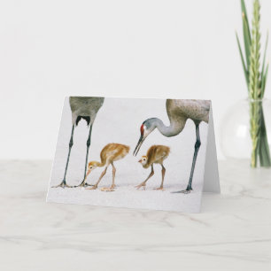 Sandhill Crane Famiy note card