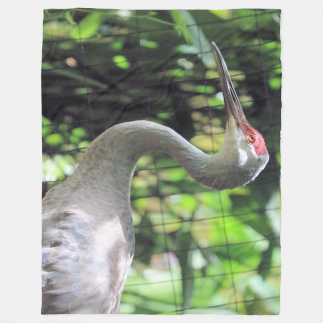 Sandhill crane fleece blanket (Front)