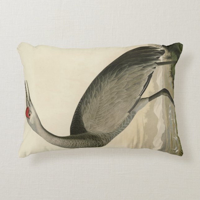 Sandhill Crane from Audubon's Birds of America Accent Pillow (Front)
