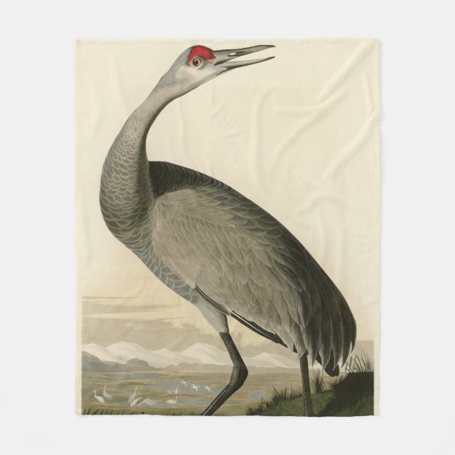 Sandhill Crane from Audubon's Birds of America Fleece Blanket (Front)