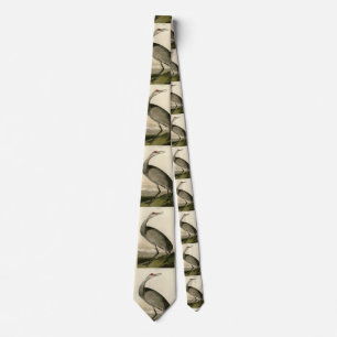 Sandhill Crane from Audubon's Birds of America Tie