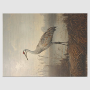 Sandhill Crane in the Marsh Decoupage Tissue Paper