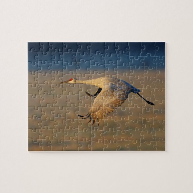 sandhill crane jigsaw puzzle (Horizontal)