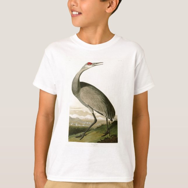 Sandhill Crane John James Audubon Birds of America T-Shirt (Front)