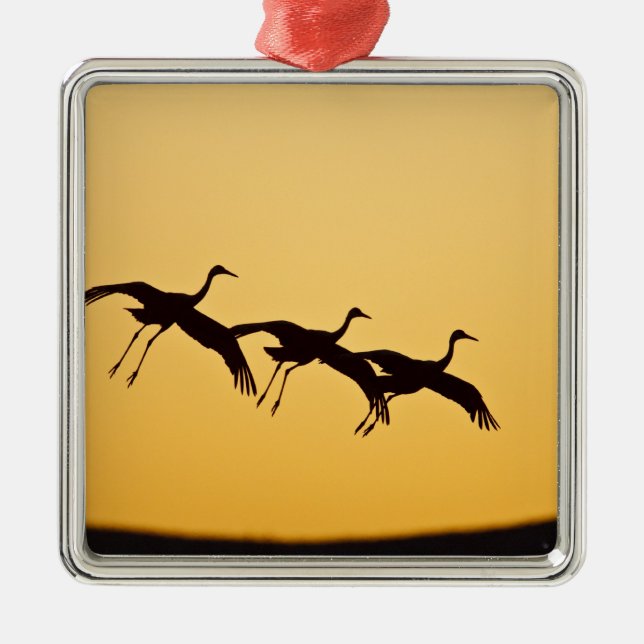 Sandhill Crane landing at sunset Metal Ornament (Front)