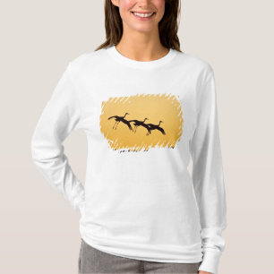 Sandhill Crane landing at sunset T-Shirt