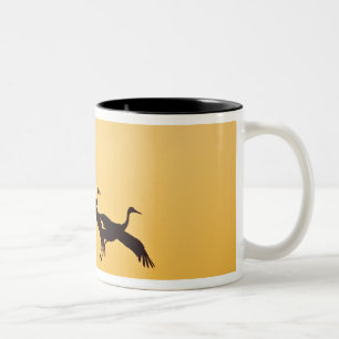 Sandhill Crane landing at sunset Two-Tone Coffee Mug