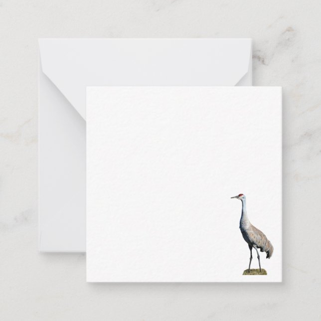 Sandhill Crane Photo Flat Note Card (Front)