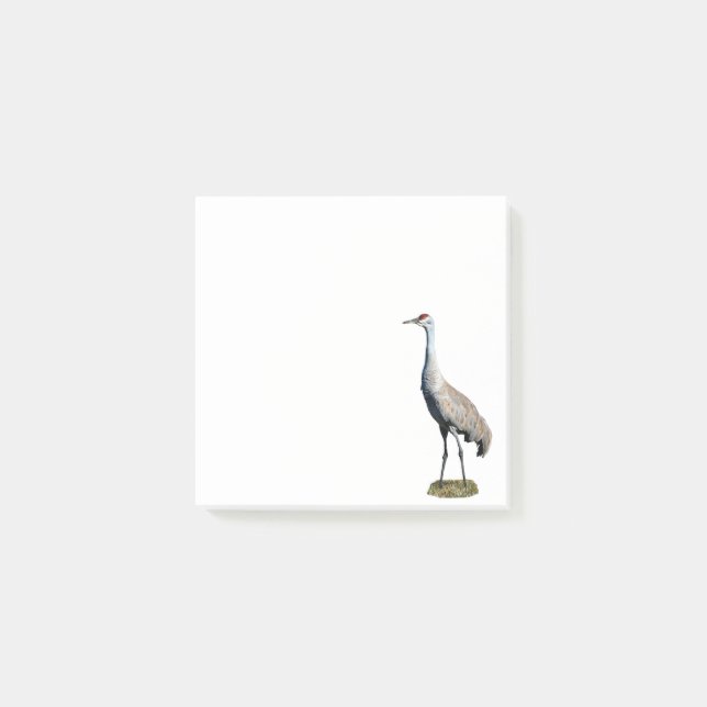 Sandhill Crane Photo Post-it Notes (Front)