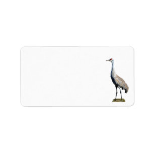 Sandhill Crane Photo Return Address Label