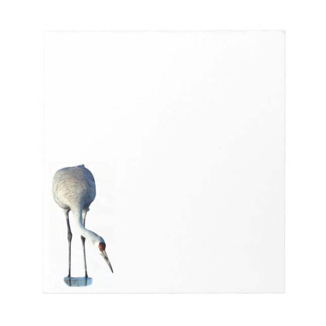 Sandhill Crane Photo Stationery Notepad (Front)