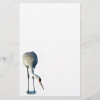 Sandhill Crane Photo Stationery Paper
