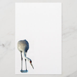 Sandhill Crane Photo Stationery Paper