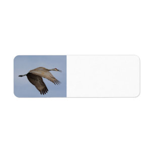 Sandhill Crane return address label