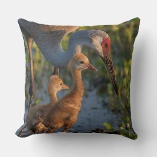 Sandhill crane with chicks, Florida Throw Pillow