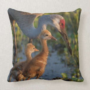 Sandhill crane with chicks, Florida Throw Pillow