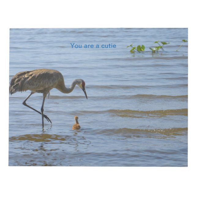 Sandhill crane with the cute baby bird Notepad (Front)