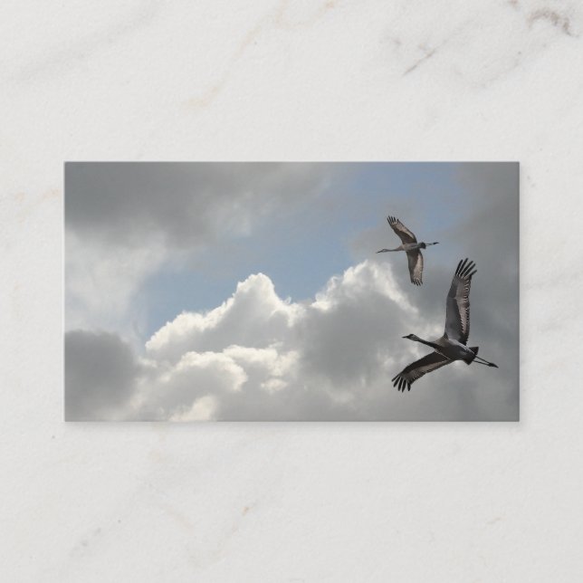 SANDHILL CRANES BUSINESS CARD (Front)