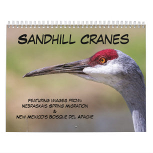 Sandhill Cranes Calendar