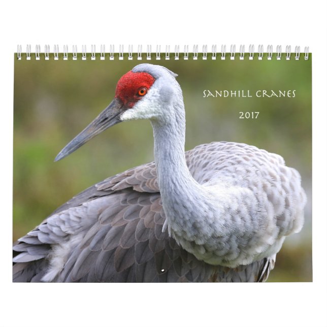 Sandhill Cranes Calendar 2017 (Cover)