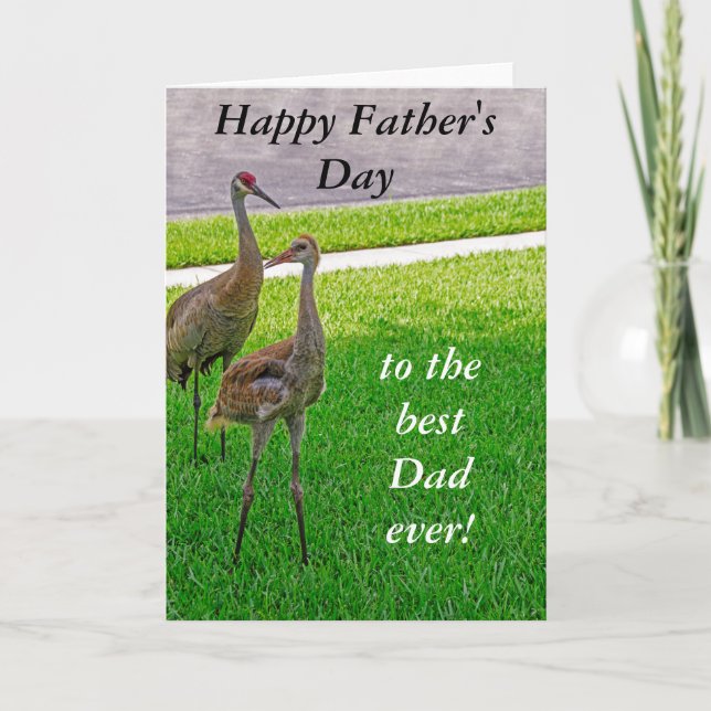 Sandhill Cranes - Father's Day - Birthday Card (Front)