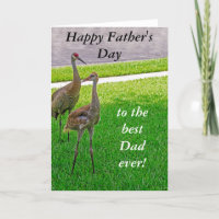 Sandhill Cranes - Father's Day - Birthday