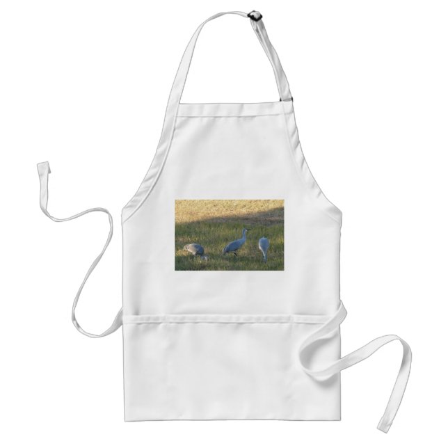 Sandhill Cranes Grazing in Grass Photo Apron (Front)