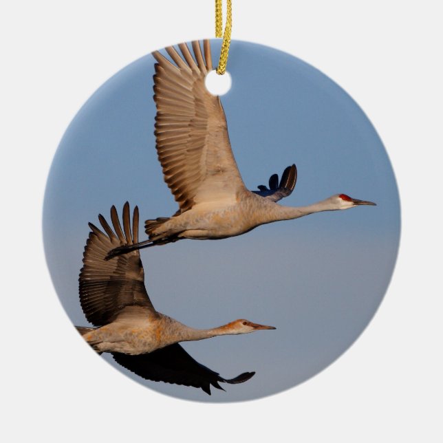 sandhill cranes in flight ceramic ornament (Front)