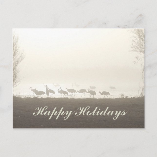 Sandhill Cranes in the Mist Happy Holidays Holiday Postcard (Front)