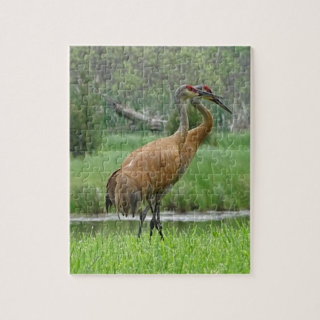 Sandhill Cranes Jigsaw Puzzle (Vertical)