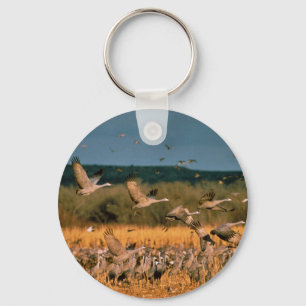 Sandhill Cranes Keychain