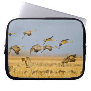 Sandhill cranes land in corn fields laptop sleeve