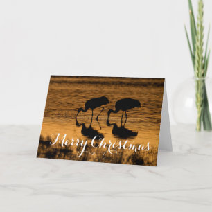 Sandhill Cranes, Merry Christmas Holiday Card