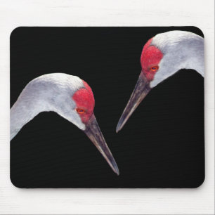 Sandhill Cranes Mouse Pad