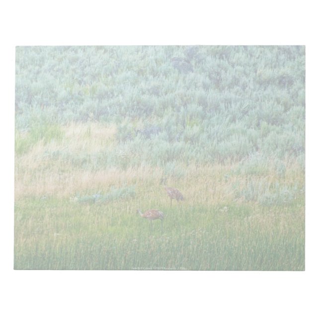 Sandhill Cranes Notepad (Front)