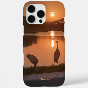 Sandhill cranes silhouette at Sunset iPhone 16 Pro Max Case