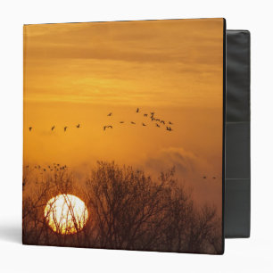 Sandhill cranes silhouetted aginst rising sun binder