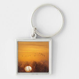 Sandhill cranes silhouetted aginst rising sun keychain