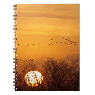 Sandhill cranes silhouetted aginst rising sun notebook