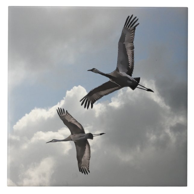 SANDHILL CRANES TILE (Front)