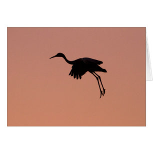 Sandhill silhouette on a pink sunset sky