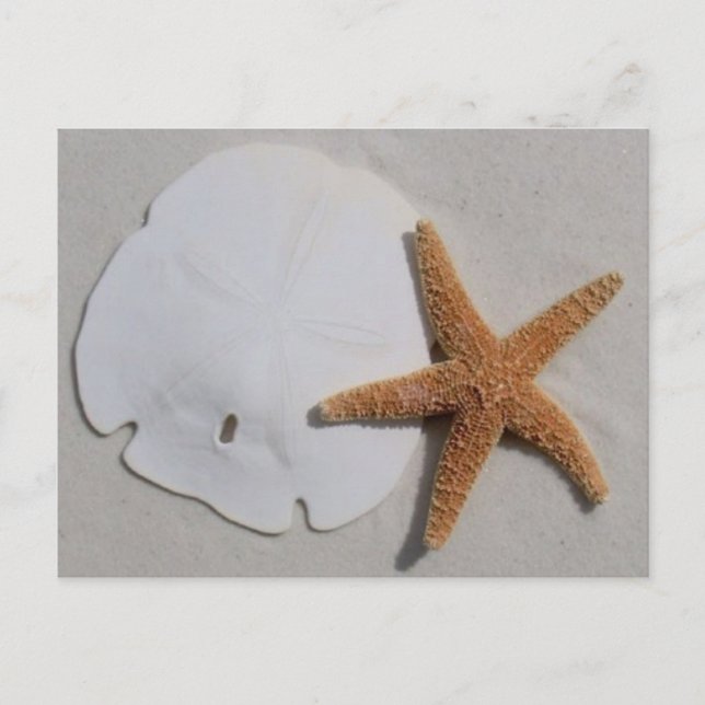 sandollaire de plage et carte postale d'étoiles de (Devant)